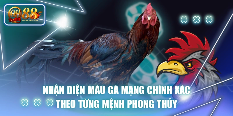Nhận Diện Màu Gà Mạng Chính Xác Theo Từng Mệnh Phong Thủy 1 Nhận Diện Màu Gà Mạng Chính Xác Theo Từng Mệnh Phong Thủy